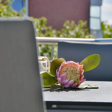 An Oolt Lüchttoorn - Zedeliusstr 8